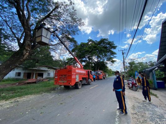 0305F1D3-25FF-45FE-9030-F7DDCAF76100